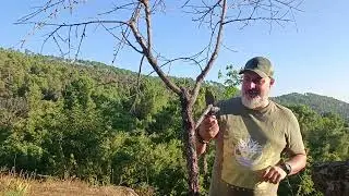 J&V DRACO UN COLOSO QUE ESTABA OLVIDADO. #campo #cuchillobushcraft #knivesoutdoor #caza #campamento