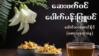 ဆေးဖက်ဝင် ပေါက်ပန်းဖြူပင် | ဒေါက်တာအောင်နိုင် (ဆေးသုတေသန)