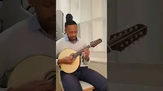 Fernando Paizinho 10-String Mandolin | Brazil (code 345) #mandolin #mandolincafe  #mandolina