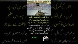 Arslan Naseer Explains Pakistan&rsquo;s Role in Defending Holy Sites  #shorts