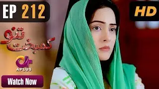 Drama | Kambakht Tanno - EP 212 | Aplus | Tanvir Jamal, Sadaf Ashaan | C2U1