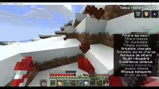 Vid&eacute;o Mc dans des biomes enneig&eacute;s