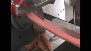 Double color dog chew machine