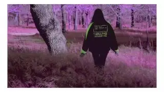 LE FAY - EL VÓRTICE x SANTA
