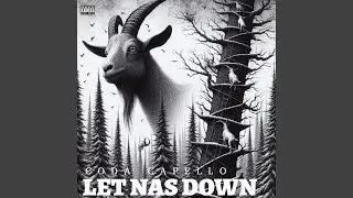 LET NAS DOWN