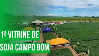 1ª Vitrine de soja Campo Bom