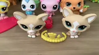 The new LPS: My Thoughts