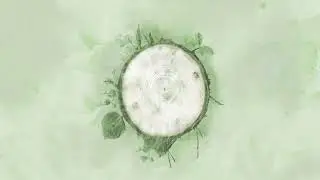 Andrea Vanzo - Rebirth (Official Visualizer)
