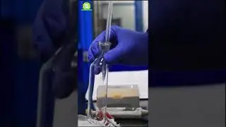 FAME Analysis by Gas Chromatography (GC) part 1