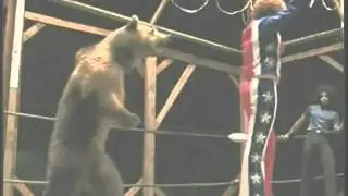 Dewey the Bear Wrestles Jackie Moon