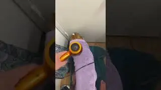 How I dry my dog after a bath