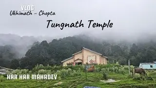 Ukhimath to Chopta Vlog  Beautiful Journey to Tungnath Trek | Uttarakhand Travel