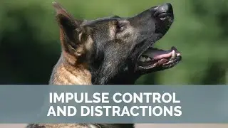 Behavior modification for impulse control.