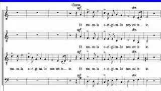 Bruckner-Tota Pulchra-Alto 1.wmv