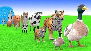 5 Giant Duck Cartoon,Cow,Elephant,Tiger,Lion,Gorilla, Paint Wild Animals Crossing Fountain #3