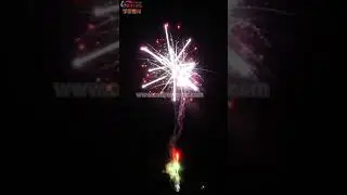 B202102001 Firework pyrotechnic Pirotecnia феерверкі Fajerwerki Fuochi artificio Fuego Artificiale