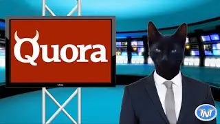 Quora Special Report: The Fraud Edition.