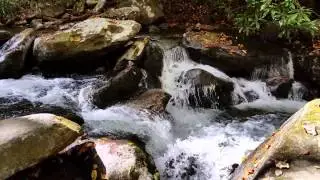 Roaring Fork Creek