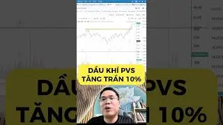Cổ phiếu dầu kh&iacute; PVS tăng trần 10% #pvs #daukhi #cophieu #dautuchungkhoan #chungkhoan