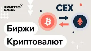 Криптовалютные биржи: CEX, P2P и OTC (Урок 7: Погружение в крипту)