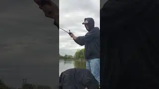 Minnesota River Channel cat. #fishinglife #fishing #catfishbait