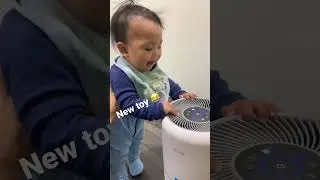 #levoit #airfilter type 1 in comment if your babies do this at home 😊