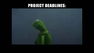 Project Deadlines