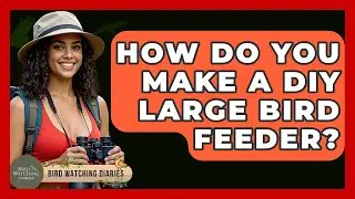How Do You Make A DIY Large Bird Feeder? - Bird Watching Diaries