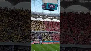 Coregrafie senzationala Arena Nationala FCSB 🏆🔴🔵 #shorts #shortvideo #fcsb #viralvideo #short #2025