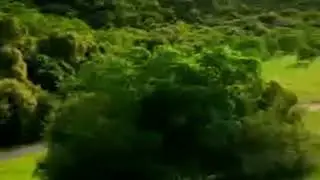 Scary Ghost Car Commercial With Kogama Scary Closeup