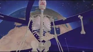 Meta Quest 3 - Human Anatomy VR_20260120014515