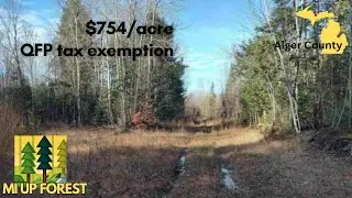 Земельный участок на Верхнем полуострове продается по смешной цене 🌲
