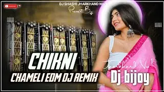 CHIKNI CHAMELI  | SARZAN DJ SETUP SONG | CHIKNI CHAMELI dj SONG REMIX