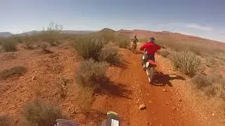 rhino rally 2018
