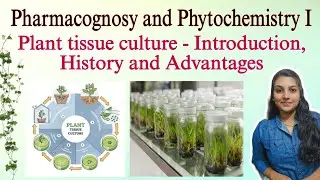 Plant Tissue Culture &ndash; Introduction, History, and Advantages | Pharmacognosy 1 | BPharm 4thsem