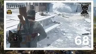 🧟Days Gone fo 68 Vor dem finale nebenmissionen😺Germany