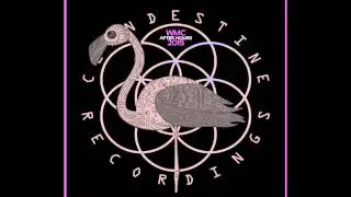 Dewan Bayney - Velo (Original Mix) [Clandestine Recordings 2015]