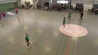 Handball HSV Zwönitz   Leipzig Südwest 20 12 2025