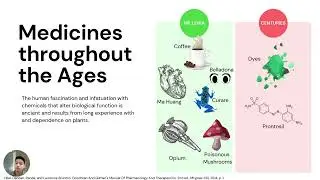 Introduction to Drug Development