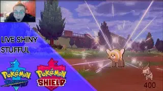Shiny Stufful Whilst EV Training Randomly! - Pokemon Sword and Shield