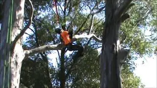 Jared Abrojena 2011 Footlock