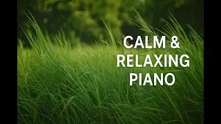 Relaxing Piano Solo for Calm, Focus & Stress Relief