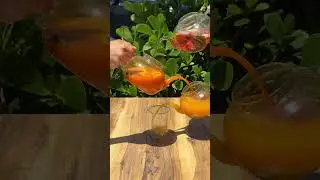#seabuckthorn Tea in Miami! #miamirestaurants