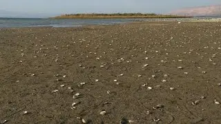 Water level of the Sea of Galilee keeps dropping due to drought