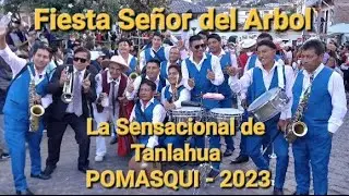 Fiestas Señor del Arbol 2023 Pomasqui - Quito  Ecuador