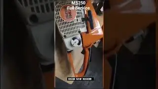 MS250. FULL SERVICE