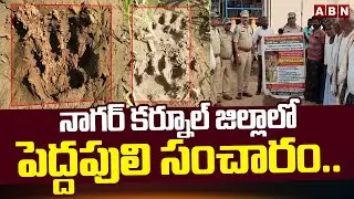 నాగర్ కర్నూల్ జిల్లాలో పెద్దపులి సంచారం.. | Tiger Spotted at Nagar Kurnool District | ABN Telugu