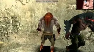 wolfteam street glitch