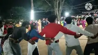 Chintapalli mandalam Pedda Barda panchayat  labbar gondhi gramamam  pandugabichaparbhutribaldimsa
