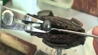Manapearl Tahiti.mov